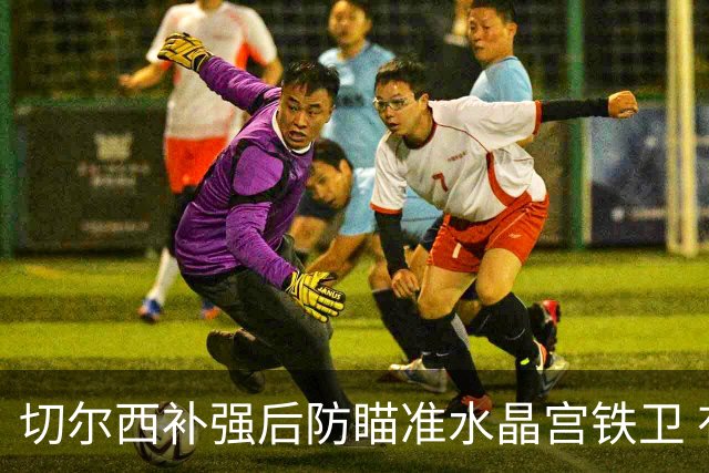 切尔西补强后防瞄准水晶宫铁卫 有合适报价可出售查洛巴