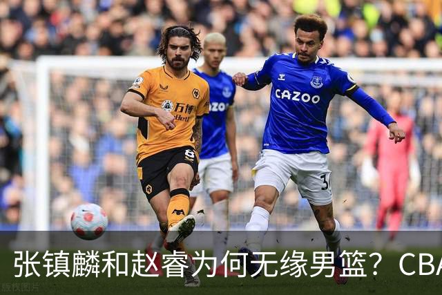 张镇麟和赵睿为何无缘男篮？CBA名记分析，道出2个原因