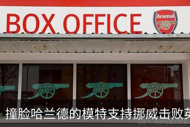 撞脸哈兰德的模特支持挪威击败英格兰：希望哈兰德一路走下去