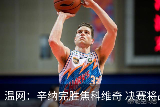 温网：辛纳完胜焦科维奇 决赛将战兹维列夫