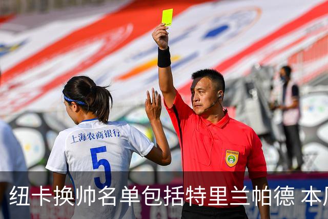 纽卡换帅名单包括特里兰帕德 本周将确定最后人选