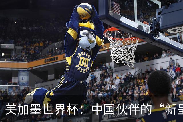 美加墨世界杯：中国伙伴的“新呈现”