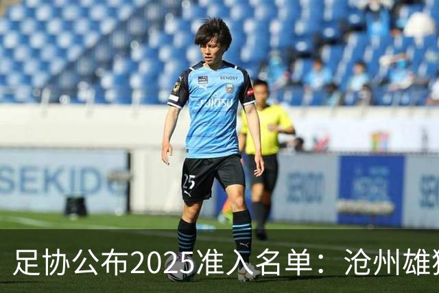 足协公布2025准入名单：沧州雄狮、广州队无缘